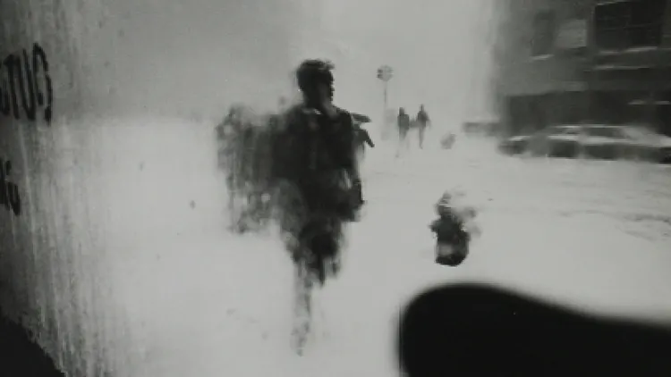 Soldat inconnu(e) - ZOOM #5