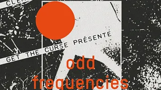 Odd Frequencies