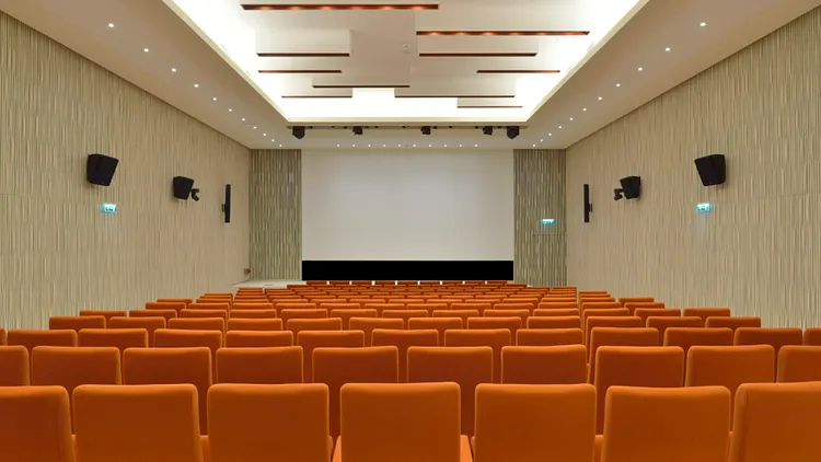 La Fête du Cinéma : Chronique d'un été au Musée de l'Homme