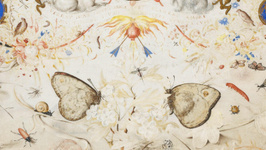 L’Expérience de la nature - Les arts à Prague à la cour de Rodolphe II
