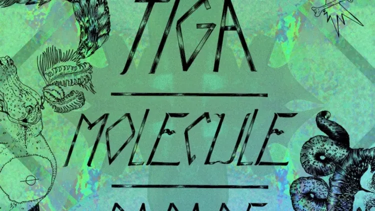 VOODOO : Tiga, Molecule, Parade