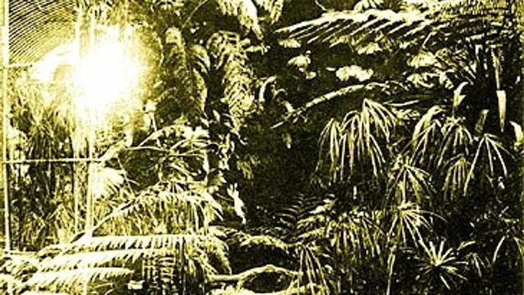 LES SERRES