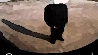 Botibol