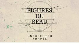Exposition Figures du beau
