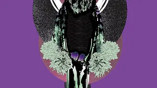 Tropical Sessions #8