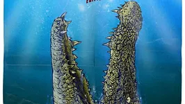 Les Nuits de l'Alligator