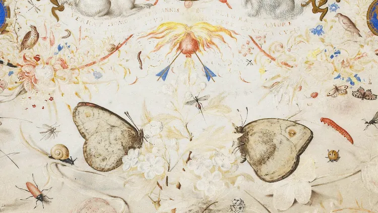 L’Expérience de la nature - Les arts à Prague à la cour de Rodolphe II