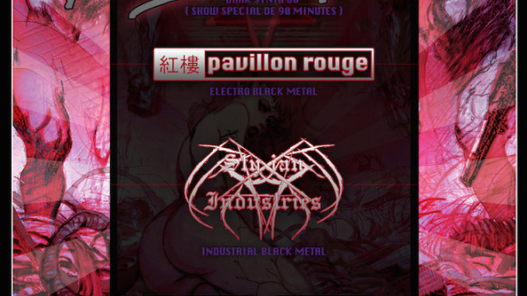 Perturbator en concert