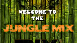 Erasmus Paris : Welcome To The Jungle Mix