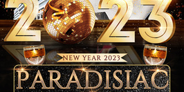PARADISIAC CROISIERE VIP BOAT PARTY NEW YEAR (2 AMBIANCES /OPEN BAR/ REVEILLON MAGIQUE SUR LA SEINE)