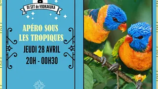 Apéro sous les Tropiques
