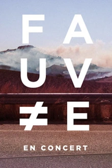 Fauve en concert