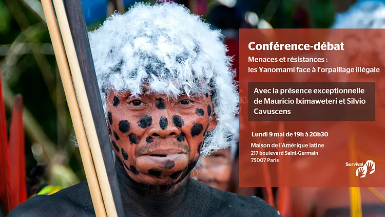 Menaces et résistances : les Yanomami face à l’orpaillage illégal