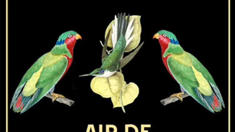 Air de Famille
