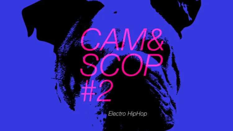 CAM&SCOP#2