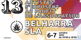 13 artistes s'exposent pour Belharra SLA