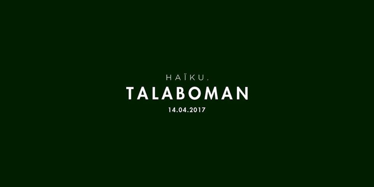 H A ï K U avec Talaboman (John Talabot x Axel Boman)