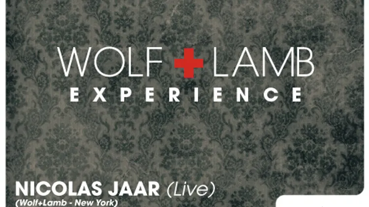 WOLF+LAMB EXPERIENCE