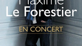 Maxime Le Forestier en concert