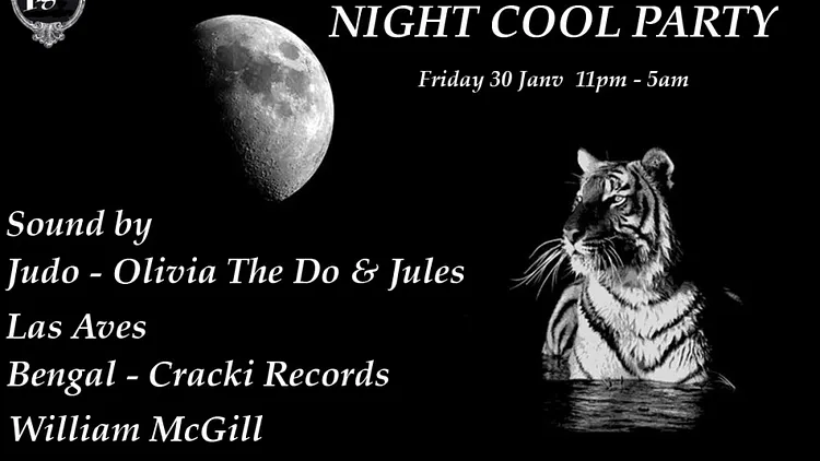 Night Cool Party