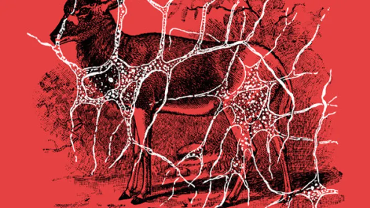 Radio Campus Paris : San Carol + Alex June + Ether&Crac Djset