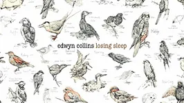 EDWYN COLLINS