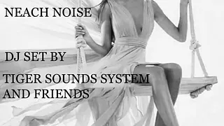 THE CRIMES / NEACH NOISE / TIGER SOUND SYSTEM AND FRIENDS