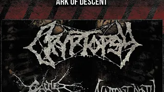 Cryptopsy