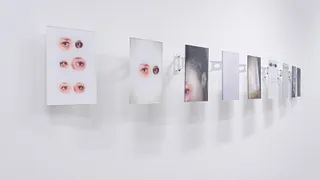 Exposition Look at Me