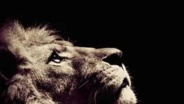 Julien Doré en concert