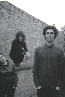 The Oscillation + holydrug couple + holy wave