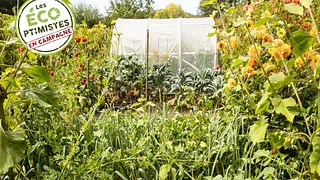 Initiation à la permaculture