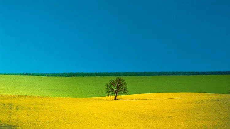 Vernissage | "Conversazione" de Mario Giacomelli & Franco Fontana