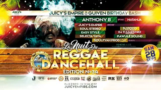 la nuit du reggae dancehall N°34 Anthony B from Jamaican en showcse