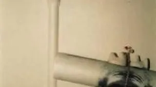 Panik