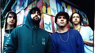 Animal Collective en concert