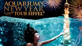 Aquarium's New Year 'Tour Eiffel'