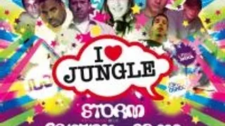I Love Jungle Ltd 011 "the Ultimate"