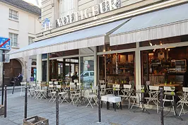Le Voltigeur