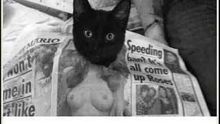 Le Minou au Chacha