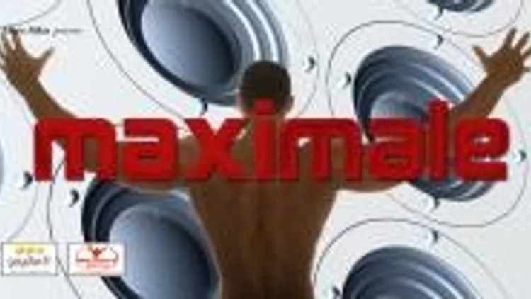 Maximale Gaydar