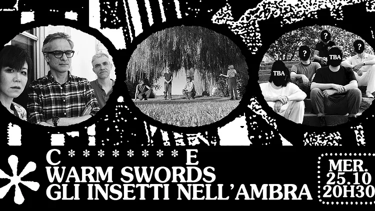 ✺ WARM SWORDS ✺ GLI INSETTI NELL’AMBRA ✺