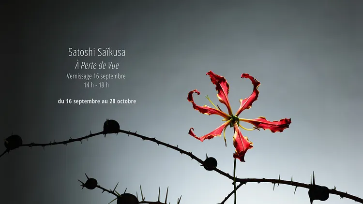 Satoshi Saïkusa - À Perte de Vue VERNISSAGE