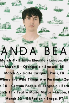 Panda Bear en concert