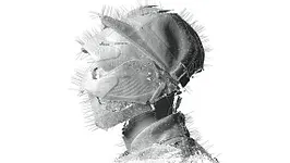 Woodkid