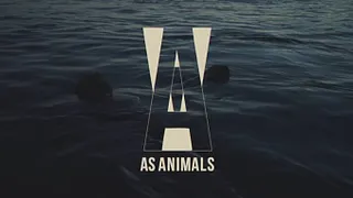 As Animals en concert