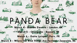 Panda Bear en concert