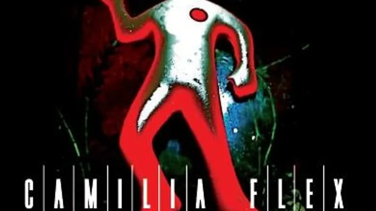 Camilia Flex & The Reckless Brothers