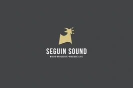 Seguin Sound