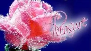Pleasure